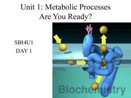 Unit 1: Metabolic Processes Are You Ready? SBI4U1 DAY 1