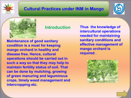 Cultural Practices under INM in Mango Introduction