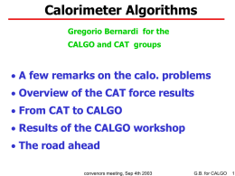 Calorimeter Algorithms