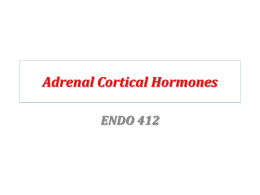 Adrenal Cortical Hormones ENDO 412