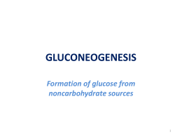 GLUCONEOGENESIS Formation of glucose from noncarbohydrate sources 1