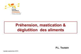Préhension, mastication &amp; déglutition  des aliments P.L. Toutain Update septembre 2010