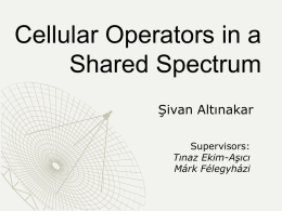 Cellular Operators in a Shared Spectrum Sivan Altinakar ç