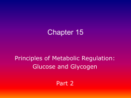 Chapter 15 Principles of Metabolic Regulation: Glucose and Glycogen Part 2