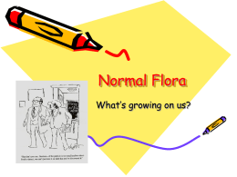 Normal Flora What’s growing on us?