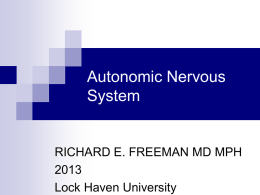 Autonomic Nervous System RICHARD E. FREEMAN MD MPH 2013