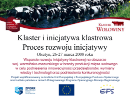 Klaster i inicjatywa klastrowa Proces rozwoju inicjatywy Olsztyn, 26-27 marca 2008 roku