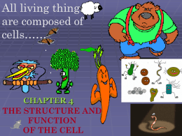 All living things are composed of cells…… CHAPTER 4