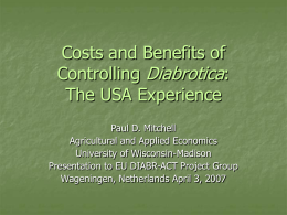Diabrotica Costs and Benefits of Controlling :