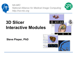 3D Slicer Interactive Modules Steve Pieper, PhD NA-MIC