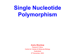 Single Nucleotide Polymorphism Anshu Bhardwaj Research Fellow