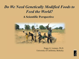 Do We Need Genetically Modified Foods to Feed the World?