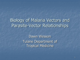 Biology of Malaria Vectors and Parasite-Vector Relationships Dawn Wesson Tulane Department of