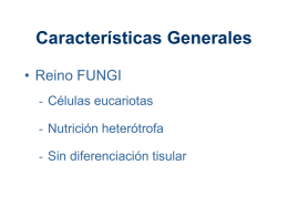 Características Generales • Reino FUNGI - Células eucariotas - Nutrición heterótrofa