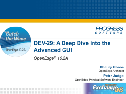 DEV-29: A Deep Dive into the Advanced GUI OpenEdge 10.2A