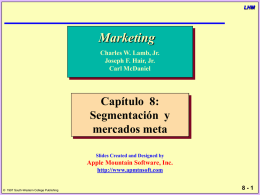 Marketing Capítulo  8: Segmentación  y mercados meta