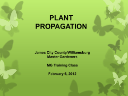 PLANT PROPAGATION James City County/Williamsburg Master Gardeners
