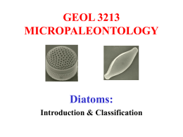 GEOL 3213 MICROPALEONTOLOGY Diatoms: Introduction &amp; Classification