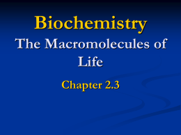 Biochemistry The Macromolecules of Life Chapter 2.3