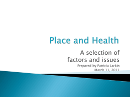 A selection of factors and issues Prepared by Patricia Larkin March 11, 2011