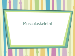Musculoskeletal