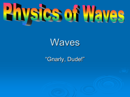 Waves “Gnarly, Dude!”