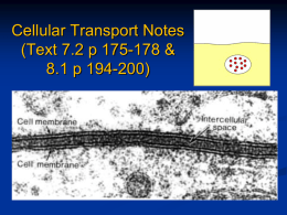 Cellular Transport Notes (Text 7.2 p 175-178 &amp; 8.1 p 194-200)