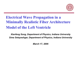 Electrical Wave Propagation in a Minimally Realistic Fiber Architecture