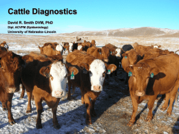 Cattle Diagnostics David R. Smith DVM, PhD –Lincoln University of Nebraska