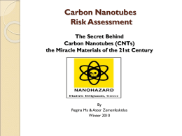 Carbon Nanotubes Risk Assessment The Secret Behind Carbon Nanotubes (CNTs)