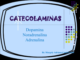 CATECOLAMINAS Dopamina Noradrenalina Adrenalina