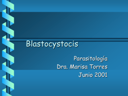 Blastocystocis Parasitología Dra. Marisa Torres Junio 2001