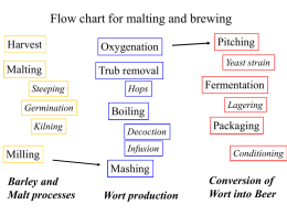 Flow chart for malting and brewing Pitching Harvest Oxygenation