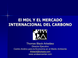 El MDL Y EL MERCADO INTERNACIONAL DEL CARBONO Thomas Black-Arbeláez Director Ejecutivo