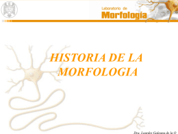 HISTORIA DE LA MORFOLOGIA Dra. Lourdes Galeana de la O