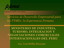 ppme Servicios de Desarrollo Empresarial para las PYMEs: la Experiencia Peruana