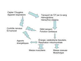 Capter l’Oxygène Transport de l’O² par le sang Appareil respiratoire Hémoglobine;