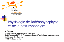 Physiologie de l’adénohypophyse et de la post-hypophyse V. Gayrard
