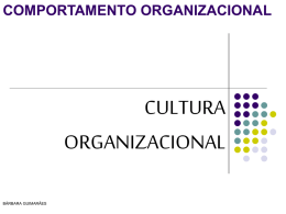 CULTURA ORGANIZACIONAL COMPORTAMENTO ORGANIZACIONAL BÁRBARA GUIMARÃES