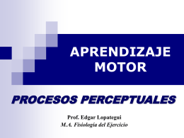 APRENDIZAJE MOTOR PROCESOS PERCEPTUALES Prof. Edgar Lopategui