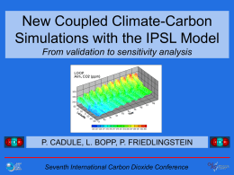 New Coupled Climate-Carbon Simulations with the IPSL Model