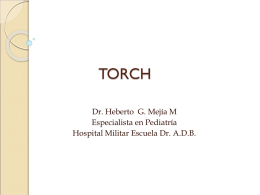 TORCH Dr. Heberto  G. Mejía M Especialista en Pediatría