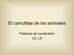 El camuflaje de los animales Palabras de vocabulario U3, L6
