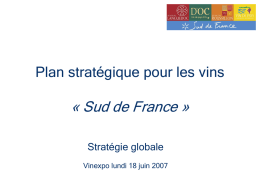 « Sud de France » Plan stratégique pour les vins Stratégie globale
