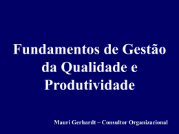 Fundamentos de Gestão da Qualidade e Produtividade Mauri Gerhardt – Consultor Organizacional