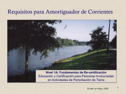 Requisitos para Amortiguador de Corrientes Educación y Certificación para Personas Involucradas