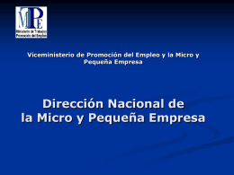 Dirección Nacional de la Micro y Pequeña Empresa Pequeña Empresa