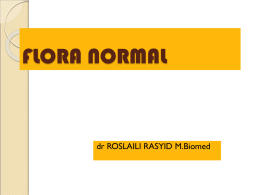 FLORA NORMAL dr ROSLAILI RASYID M.Biomed