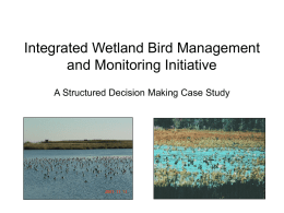 Integrated Wetland Bird Management and Monitoring Initiative