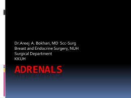ADRENALS Dr.Areej  A. Bokhari, MD  Scc-Surg Surgical Department